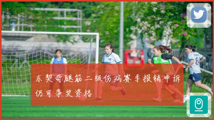 东契奇腿筋二级伤病赛季报销申诉仍可争奖资格