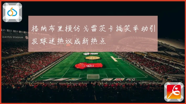 格纳布里模仿戈雷茨卡搞笑举动引发球迷热议成新热点